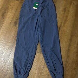 Halara Blue Jogger Pants